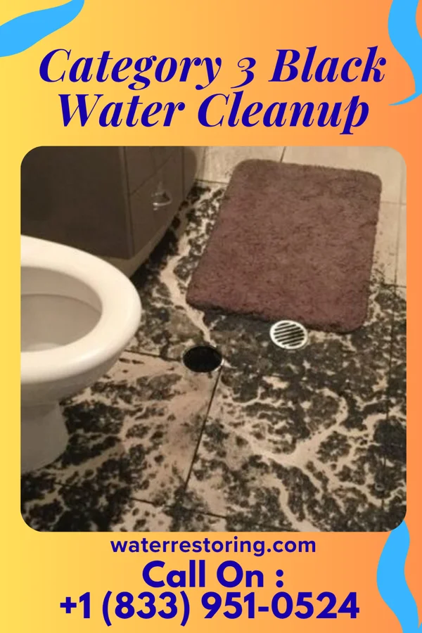 Category 3 Black Water Cleanup in Varina, IA